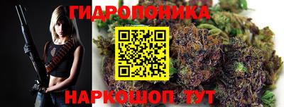 СК Заводоуковск