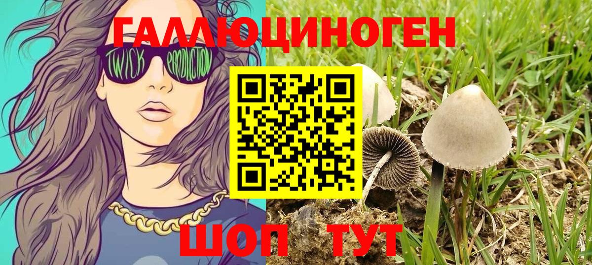 что такое наркотик  Вход с VPN  Десногорск  Псилоцибиновые грибы GOLDEN TEACHER  Галлюциногенные грибы ЛСД 